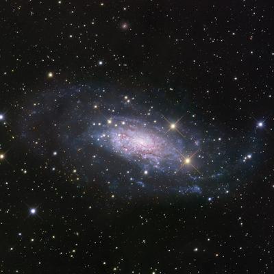 NGC 3621: Далеко за пределами местной группы