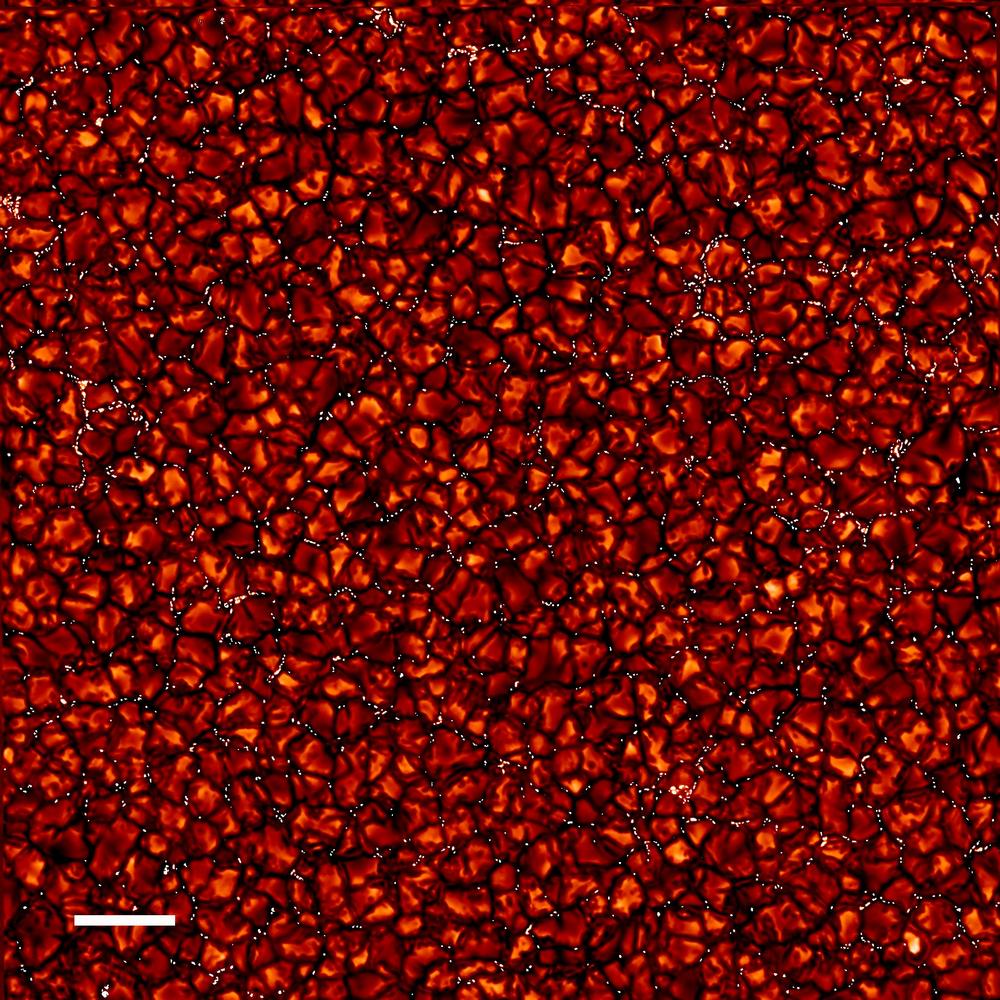 Яркие точки на спокойном Солнце