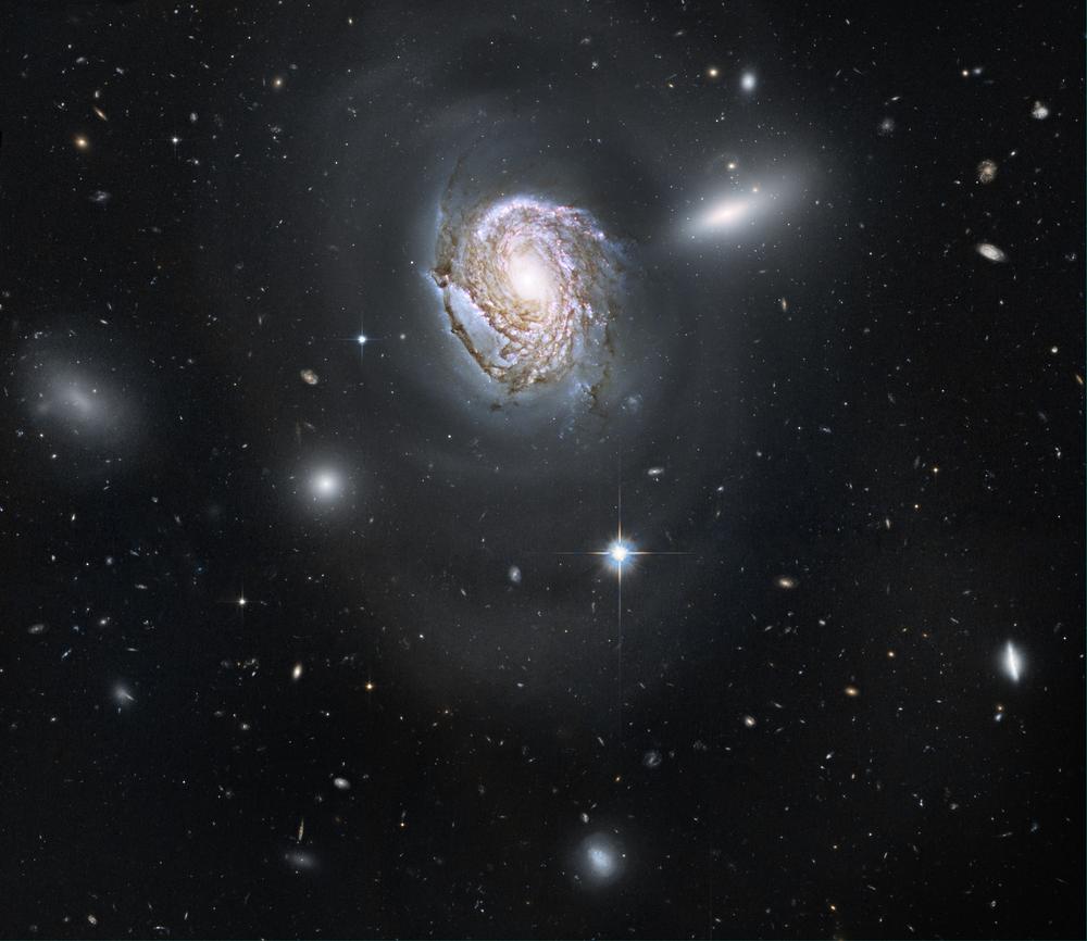 NGC 4911: Спиральное погружение в плотный кластер