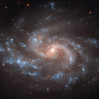 NGC 5584: Расширяя Вселенную