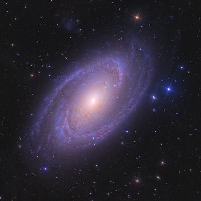 Яркая спиральная галактика M81